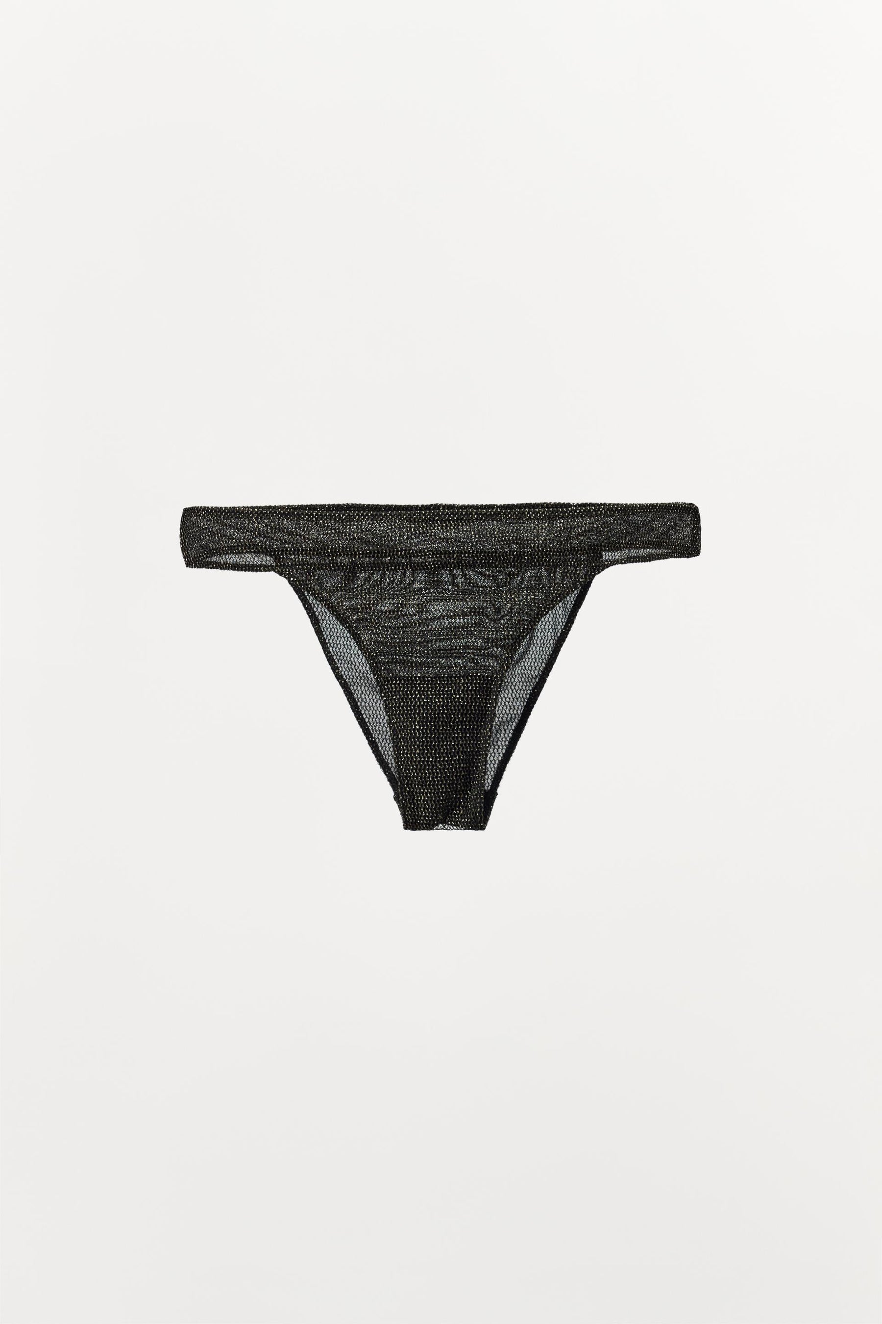 METALLIC NET BRIEFS