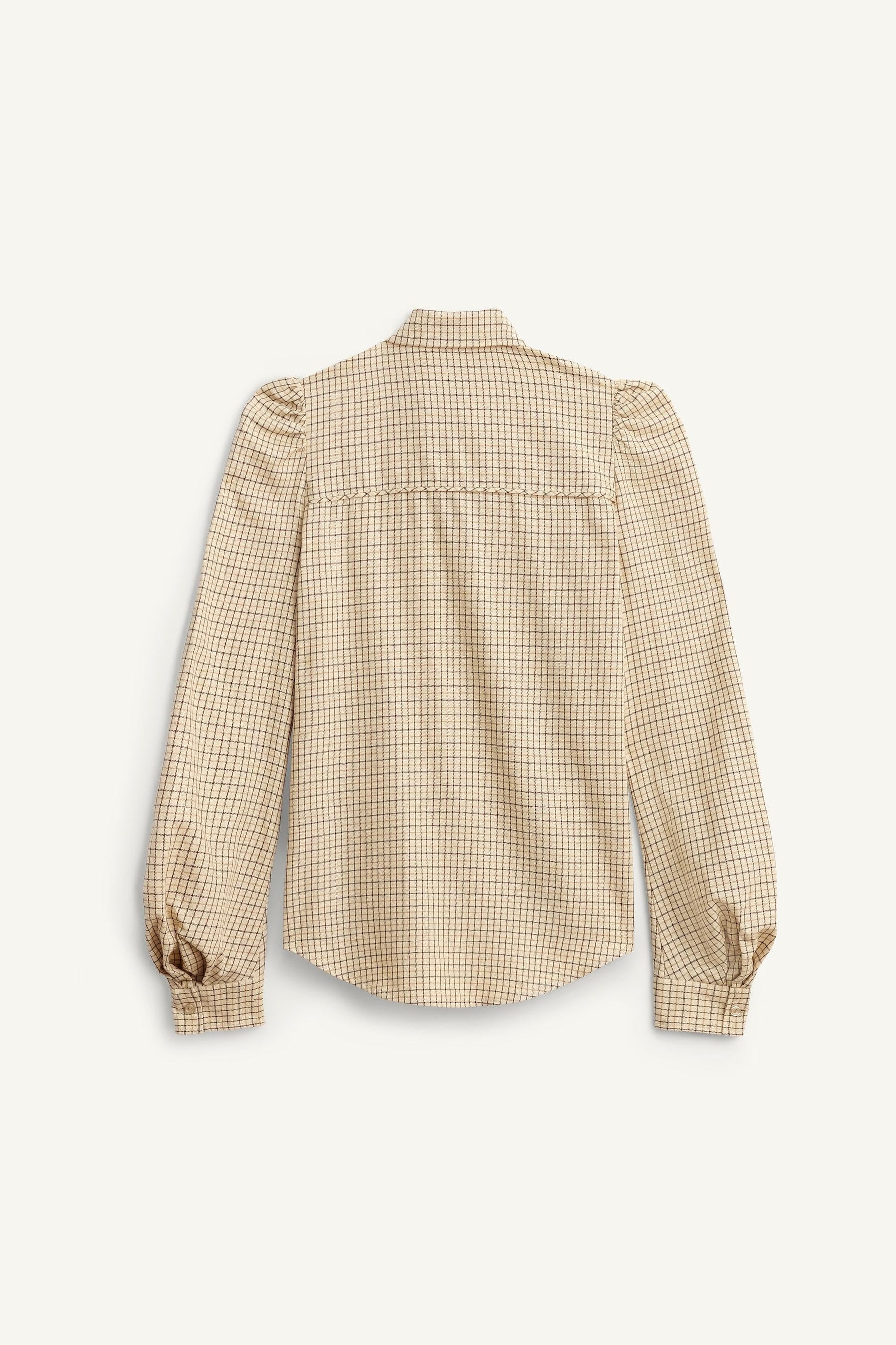 Check Shirt with Ties
