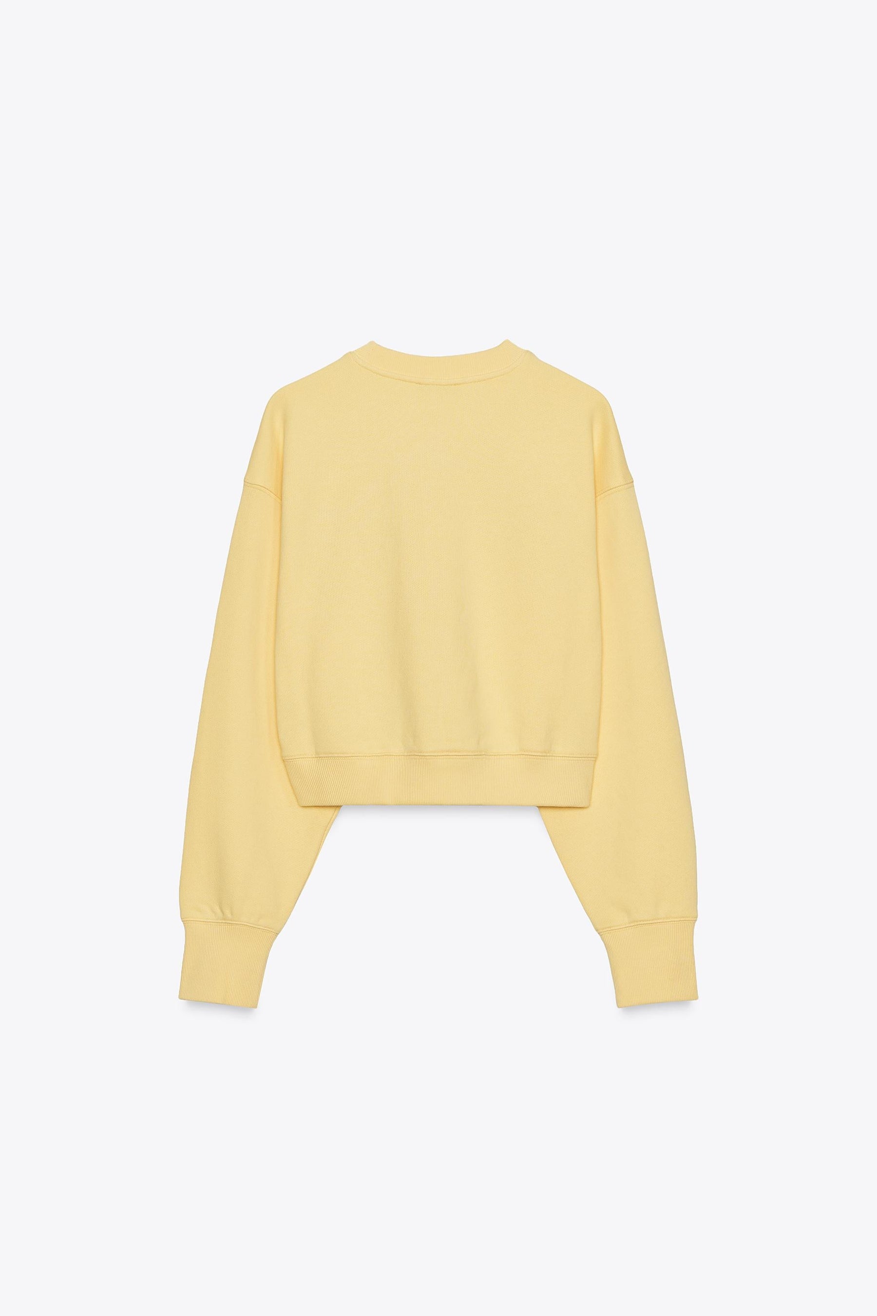 EMBROIDERED PLUSH SWEATSHIRT