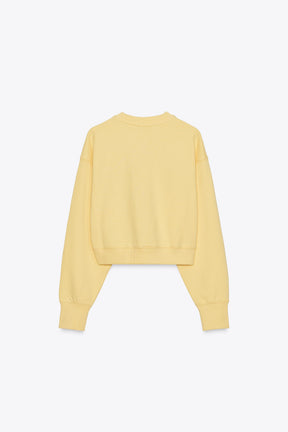 EMBROIDERED PLUSH SWEATSHIRT