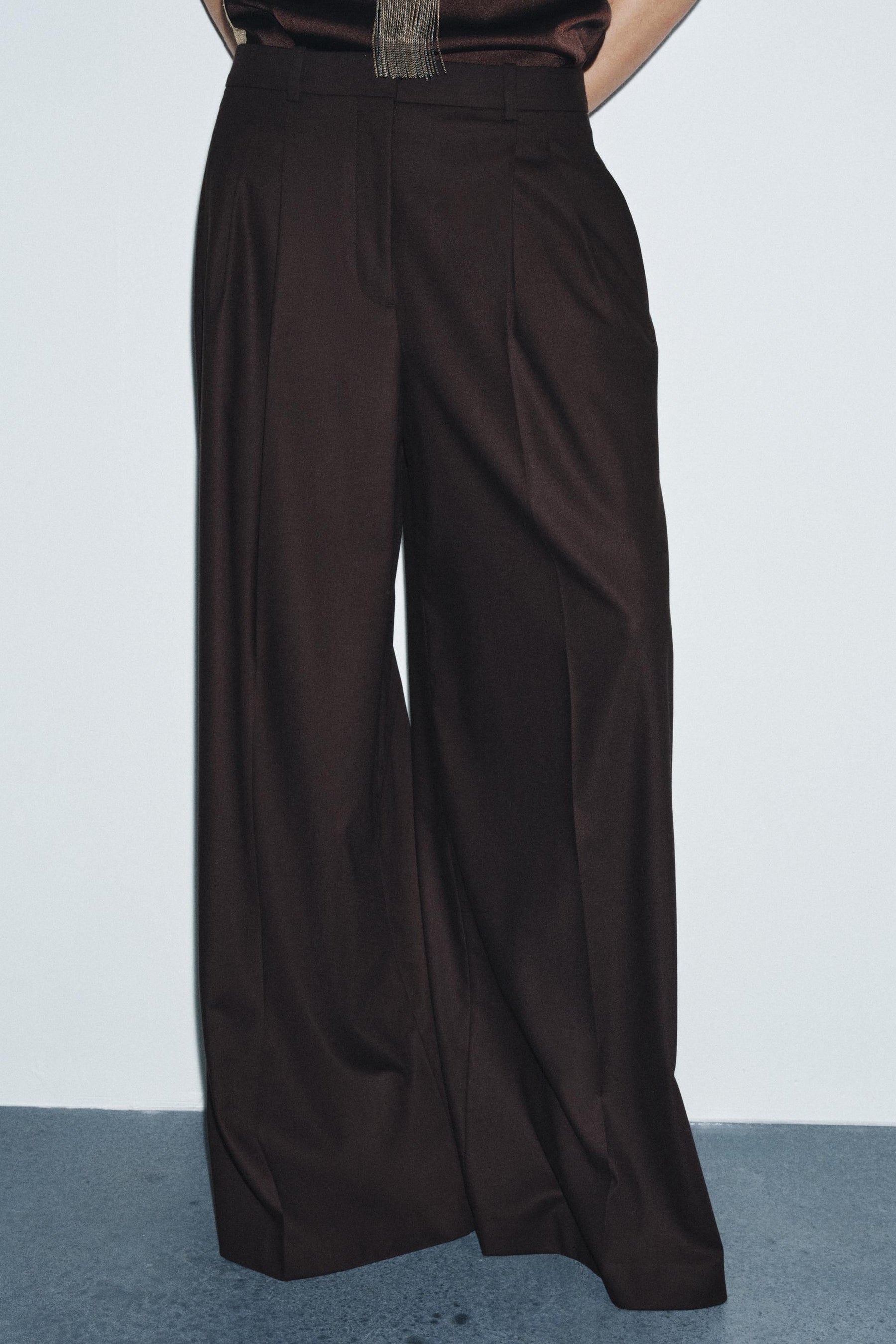 Wide-Leg Trousers with Pleats