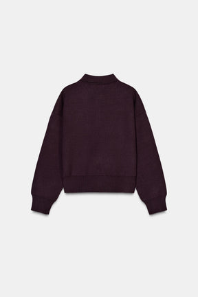 Knit Polo Shirt