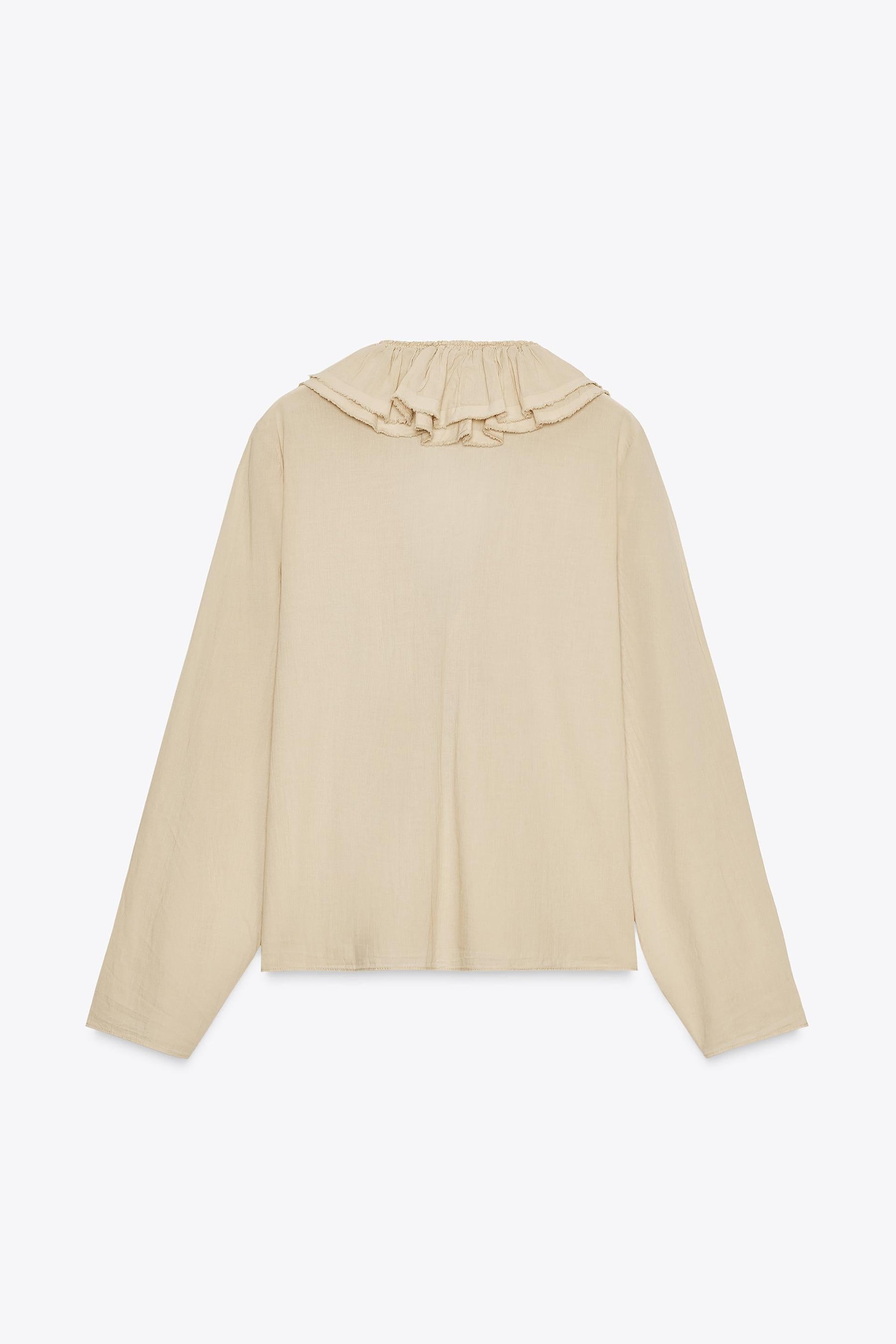 Ruffled Fashion Top