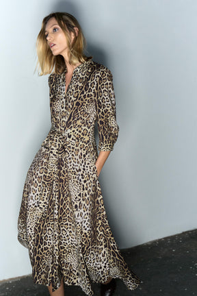 Animal Print Dress