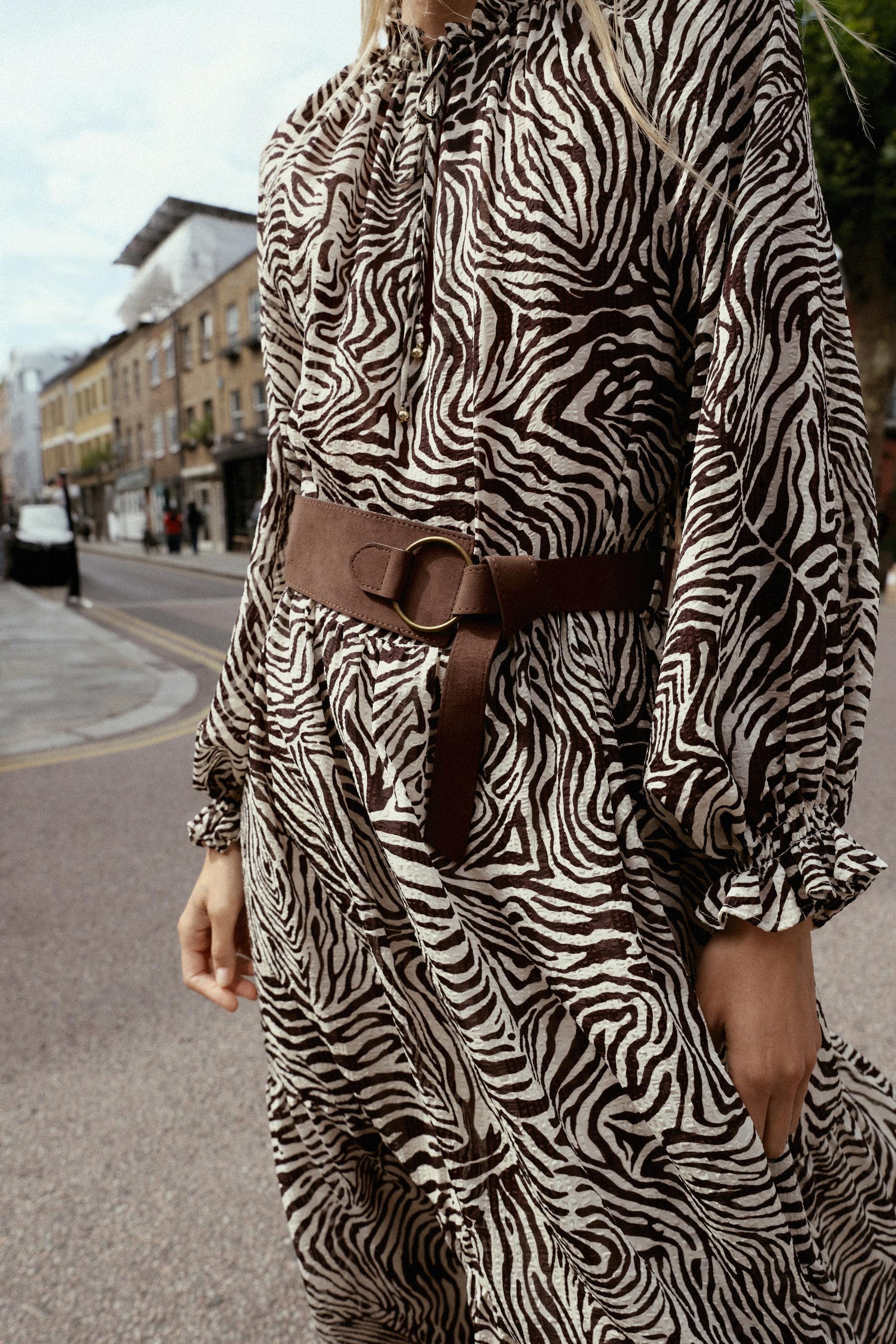 Animal Print Belted Dress