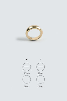 Geometric Statement Ring