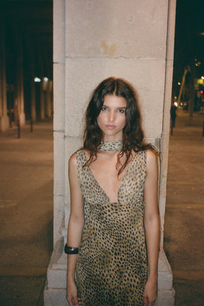 Animal Print Dress