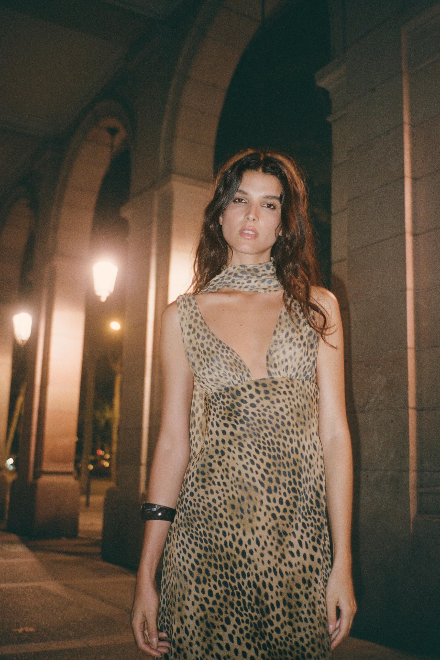 Animal Print Dress