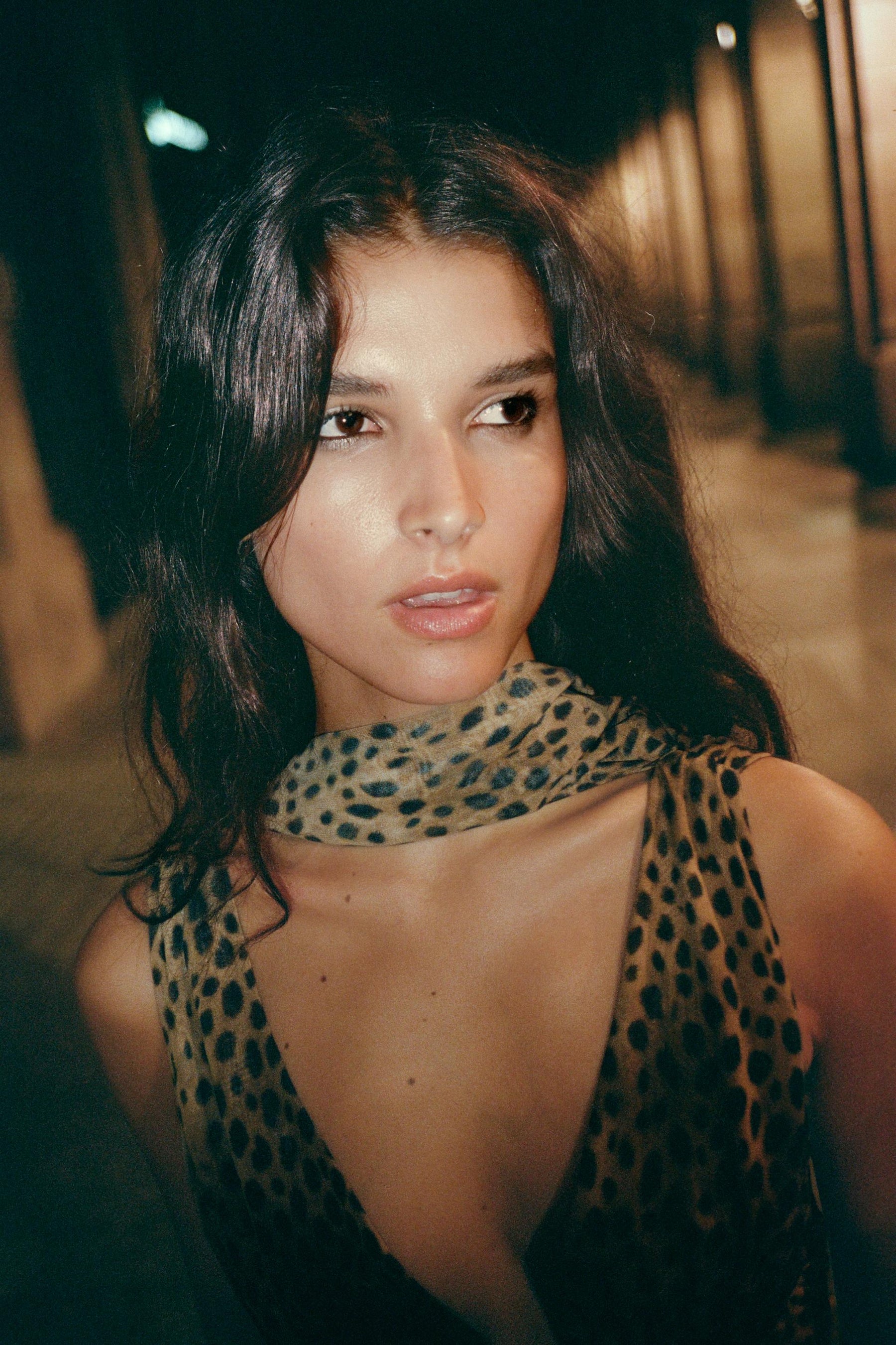 Animal Print Dress
