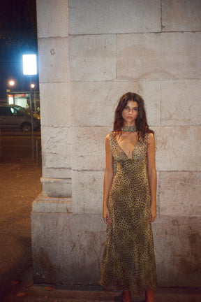 Animal Print Dress