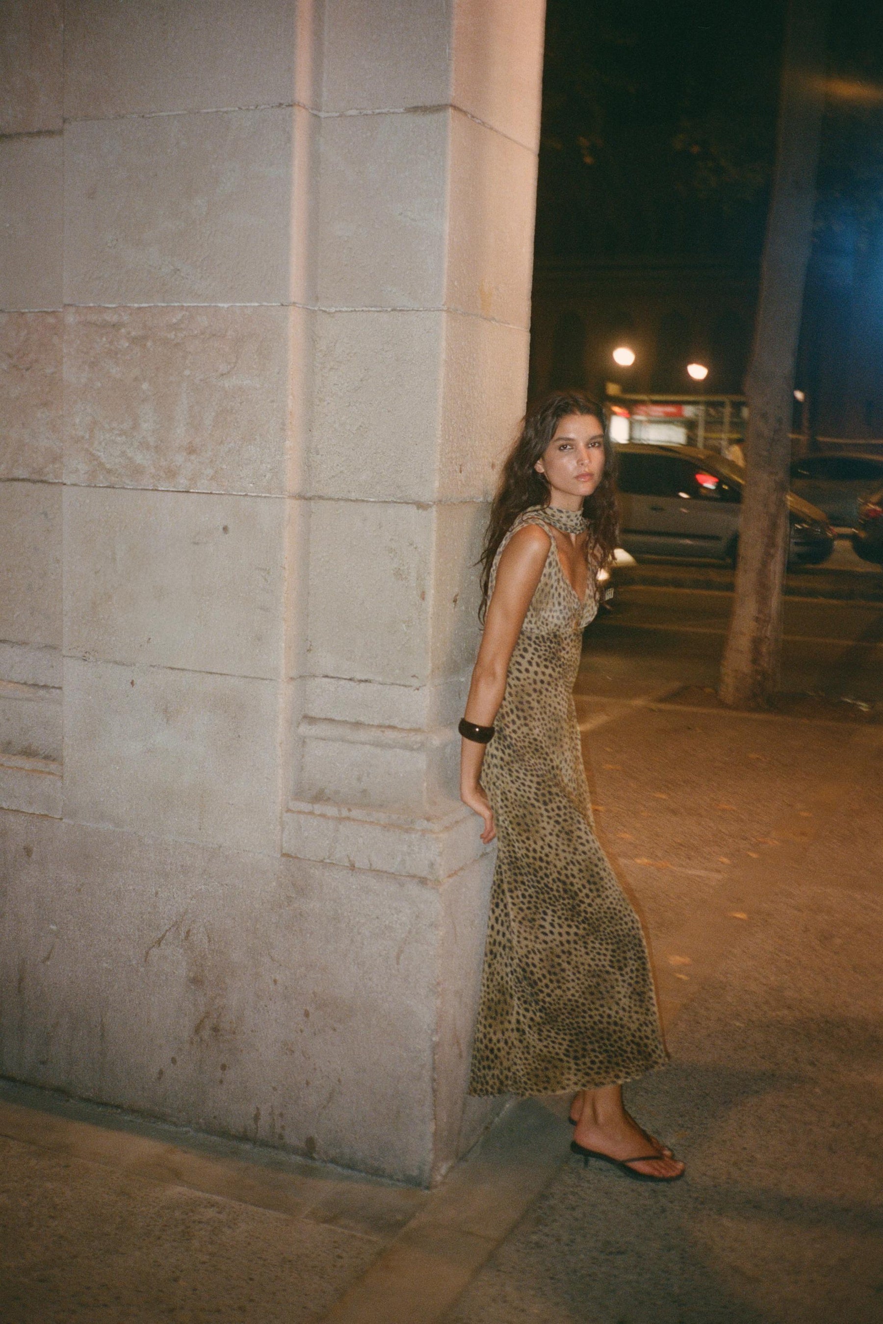Animal Print Dress