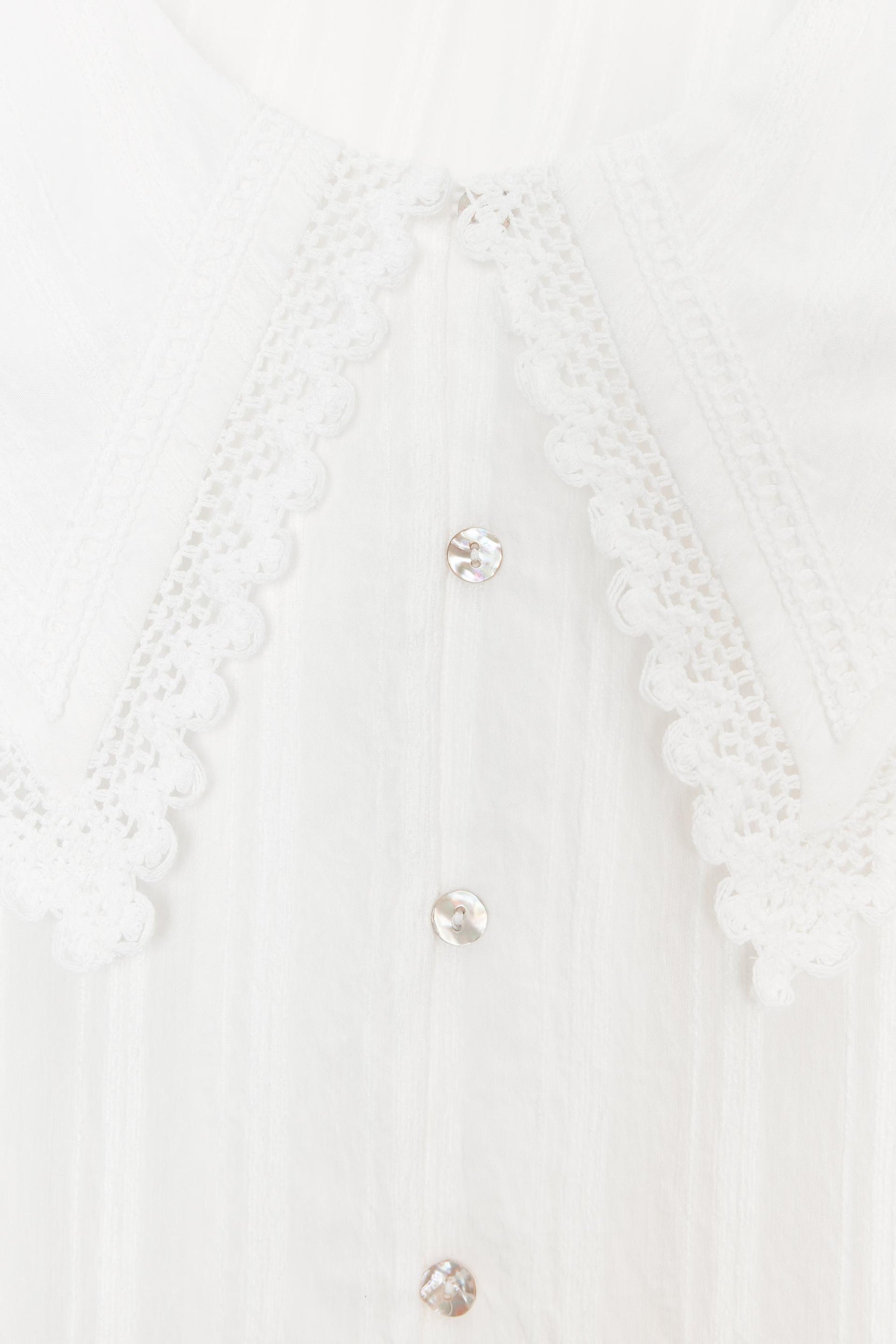 Lace Collar Shirt