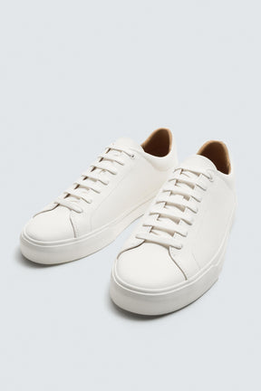Basic Trainers